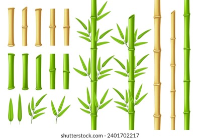 Bamboo stems and leaves. Zen garden verdant bamboo stick with 3D green leaf isolated vector illustration set of branch bamboo nature, leaf chinese plant stem