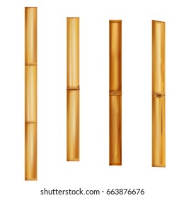 Bamboo stems Realistic brown sticks. Vector Illustration.