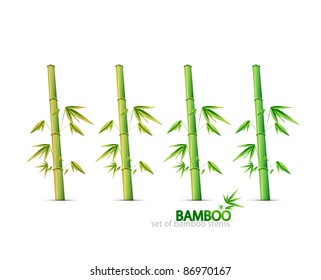 Bamboo stems. Vector collection