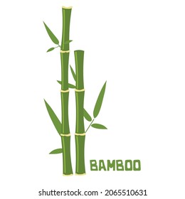 Bamboo Sticks Leaves Isolated On White Stock Vector (Royalty Free ...