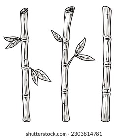 Bamboo sticks monochrome set element with thin trunks of exotic plants growing on beach or in jungle vector illustration