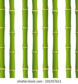 bamboo sticks over white background, close up. vector