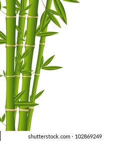 bamboo sticks over white background. vector illustration