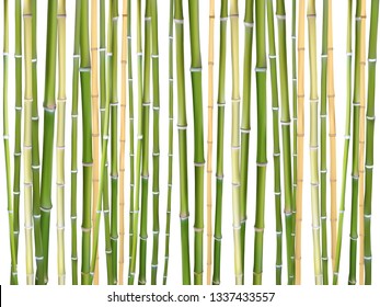 Bamboo sticks vector background illustration. Design elements of natural wooden material for eco friendly goods.  