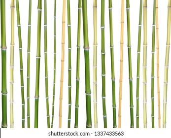 Bamboo sticks vector background illustration. Design elements of natural wooden material for eco friendly goods.  