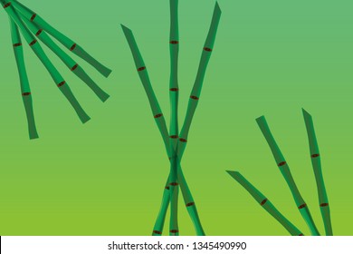 Bamboo sticks vector background illustration. Design elements of natural wooden material for eco friendly goods.