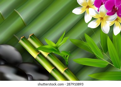 Bambus, Steine, Bambusblatt und floraler Hintergrund. Vektor