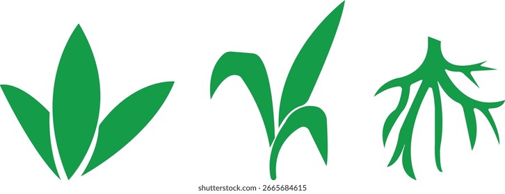 Conjunto de ícone de cana-de-açúcar de bambu. Elementos de design para rede social e aplicação. sobre fundo transparente. caules de cana de açúcar ilustração vetor de plantas de cana de açúcar frescas para a agricultura.