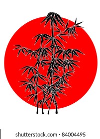 Bamboo and the sun