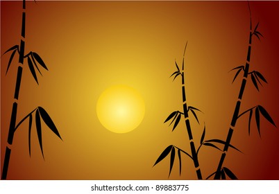  Bamboo and sunset. Vector.