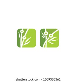 bamboo technology logo icon vector