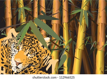 Bamboo, a tiger (a tropical plant, wild animal)