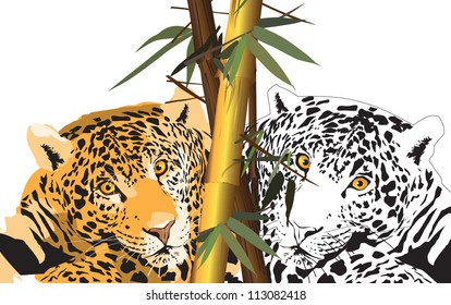 Bamboo, a tiger (a tropical plant, wild animal)