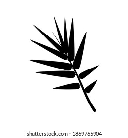 Bamboo top. Branch with bamboo leaves. Isolated on white background. Vector.
