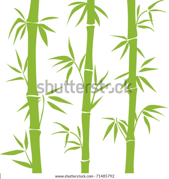 Bamboo Tree Stock Vector (Royalty Free) 71485792