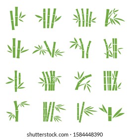 Bamboo tree branches color vector icons set. Exotic plant twigs and leaves illustrations isolated on white background. Tropical flora stems green silhouettes. Minimalist botanical pictograms pack