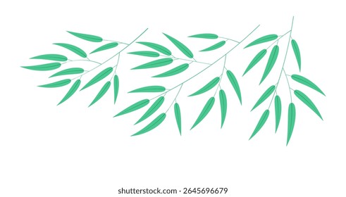 Ramos de bambu isolados sobre fundo transparente. Ilustração de vetor desenhada à mão. Design plano. Planta, arte botânica clip, flora, Japonês Tanabata Festival elemento tradicional, símbolo
