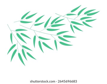 Ramos de bambu isolados sobre fundo transparente. Ilustração de vetor desenhada à mão. Design plano. Planta, arte botânica clip, flora, Japonês Tanabata Festival elemento tradicional, símbolo