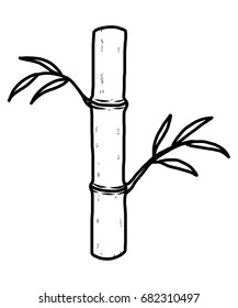 bamboo tree / cartoon vector and illustration, black and white, hand drawn, sketch style, isolated on white background.