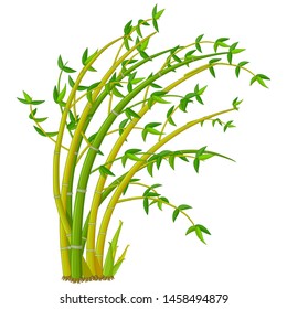 Bamboo Tree Cartoon For Your Design