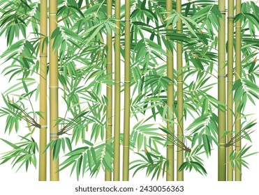 Bamboo tree with green leaves vector isolated on white background