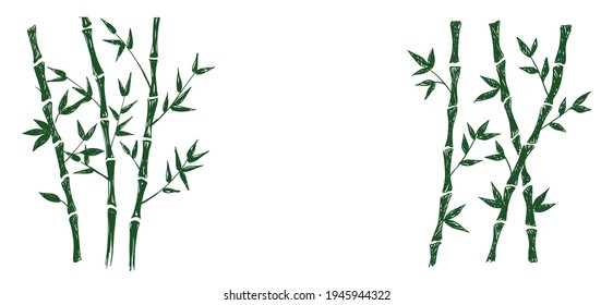 Bamboo tree. Hand drawn style. Vector illustrations.