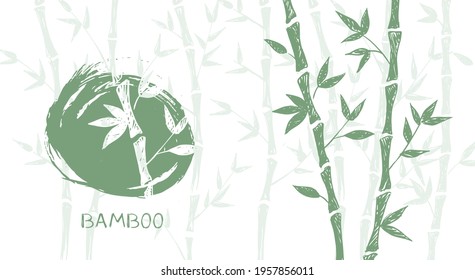 Bamboo tree. Hand drawn style, ink sketch. Vector illustrations.
