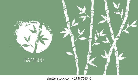 Bamboo tree. Hand drawn style. Vector illustrations.	