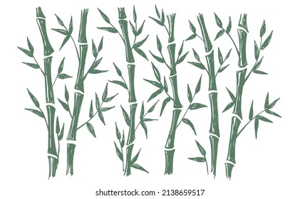 Bamboo tree. Hand drawn style. Vector illustrations.	
