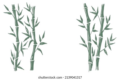 Bamboo tree. Hand drawn style. Vector illustrations.	