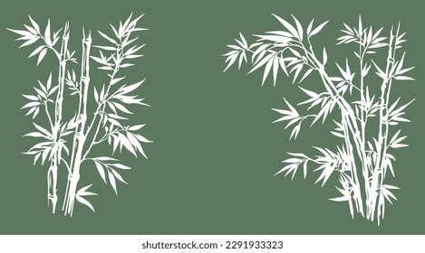 Bamboo tree, Hand drawn style. Vector.