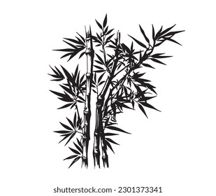 Bamboo tree, Hand drawn style. Vector.