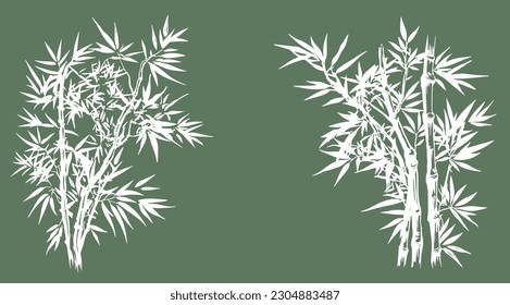 Bambusbaum, handgezeichnet. Vektorgrafik.	