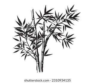 Bamboo tree, Hand drawn style. Vector.	