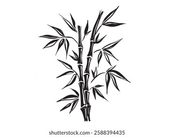 Bamboo tree, Hand drawn style.	