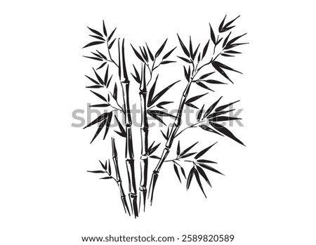 Bamboo tree, Hand drawn style.