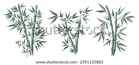 Bamboo tree, Hand drawn style.	