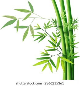 bamboo tree illustration for frame and decoration