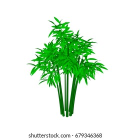 Bamboo tree. Isolated on white background. 3d Vector illustration. Isometric view.