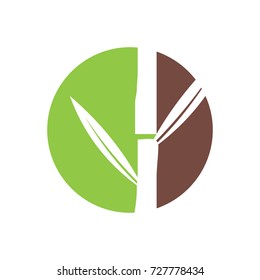 Bamboo tree or leaf logo design template vector