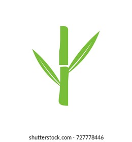 Bamboo tree or leaf logo design template vector