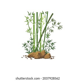 Bamboo tree leaf vector illustration