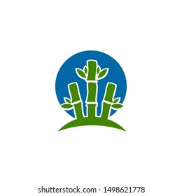 Bamboo tree logo design vector illustration template 