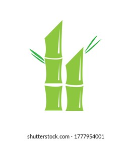 Bamboo tree logo ilustration vector template
