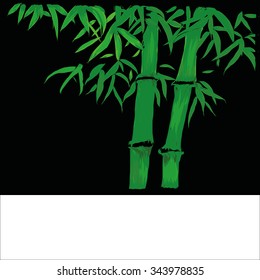 Bamboo tree on black background, vector illustration hand drawn