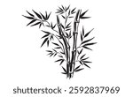 Bamboo tree on white, Hand drawn style.	