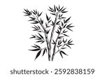 Bamboo tree on white, Hand drawn style.	
