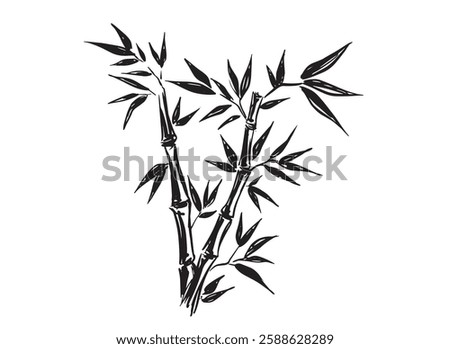 Bamboo tree on white, Hand drawn style.