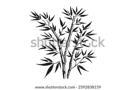 Bamboo tree on white, Hand drawn style.	