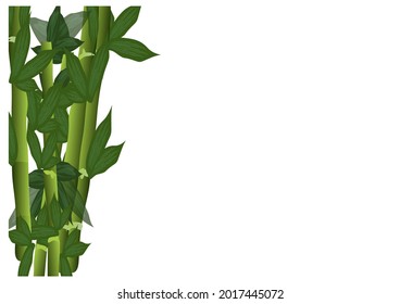bamboo tree pattern background, for banners, pamphlets etc